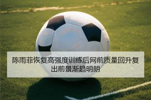 陈雨菲恢复高强度训练后网前质量回升复出前景渐趋明朗（milan.com）